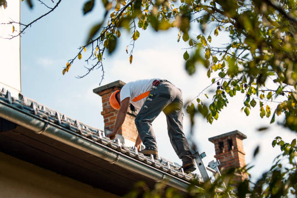 Best Residential Roofing Contractor  in Falconer, NY