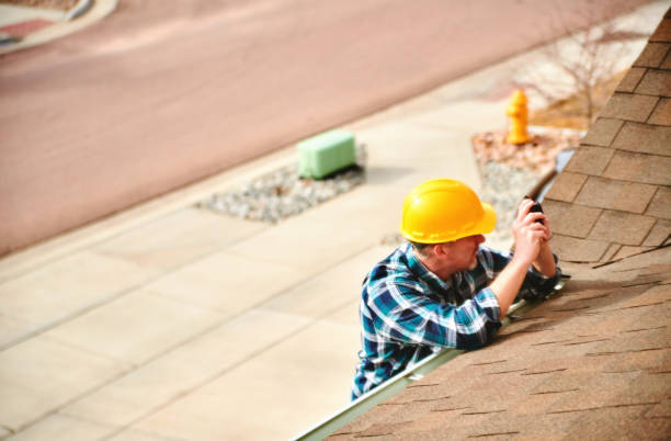 Best Roof Gutter Cleaning  in Falconer, NY