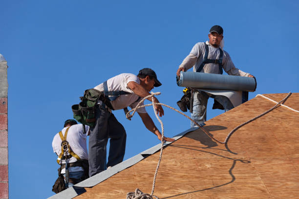 Best Roof Maintenance Services  in Falconer, NY