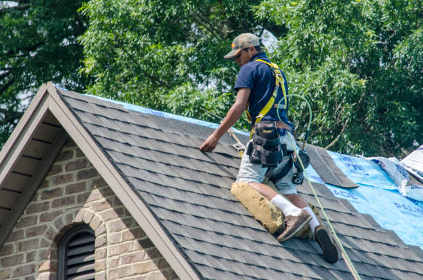 Best Gutter Installation and Roofing  in Falconer, NY
